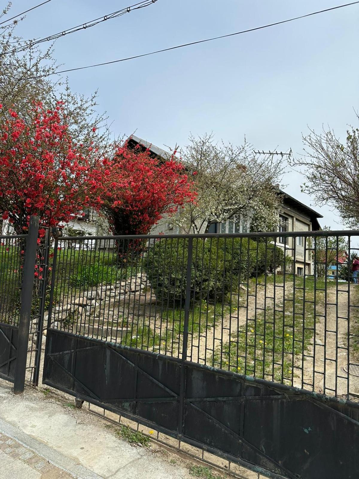 Villa Casa Eroilor Curtea de Argeş Exterior foto